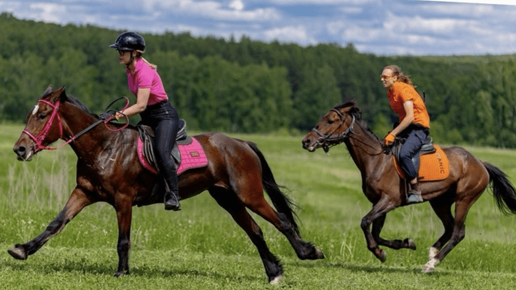 Two women gallop on brown horses across a lush green field under a blue sky.